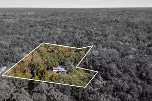 9347 River Rock Dr, Ridge Manor Estates, FL 33597 - Photo 1