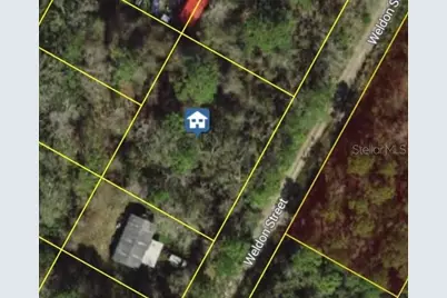 Weldon Street, New Port Richey, FL 34654 - Photo 1