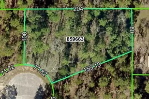 Lot 16 Sleepy Hollow, Brooksville, FL 34614 - Photo 1