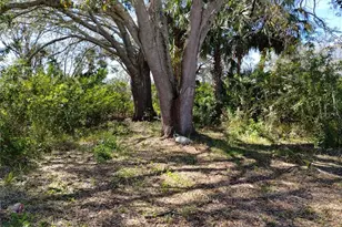 0 Belah Dr, New Port Richey, FL 34653 - Photo 1