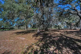 1134 Bellamare Trail, Trinity, FL 34655 - Photo 1