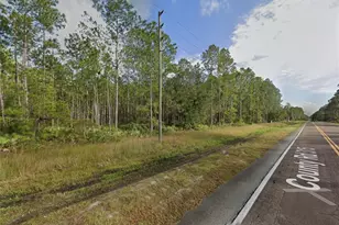 County Road 315, Interlachen, FL 32148 - Photo 1