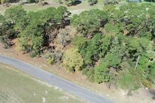 5339 Keysville Ave, Spring Hill, FL 34608 - Photo 1