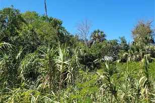 14703 Kingfish Ln, Hudson, FL 34667 - Photo 1