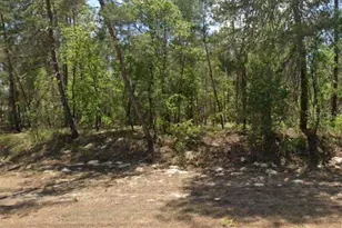 27 Village Center Dr, Homosassa, FL 34446 - Photo 1