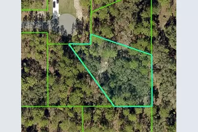 11342 Telephone Road, Weeki Wachee, FL 34614 - Photo 1