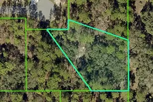 11342 Telephone Rd, Weeki Wachee, FL 34614 - Photo 1