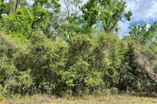 0 NE 349, Old Town, FL 32680 - Photo 1