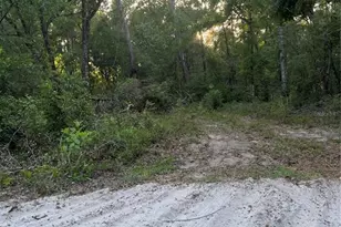 Havenwoods Rd, Spring Hill, FL 34610 - Photo 1