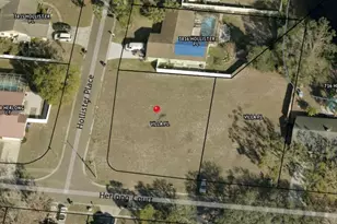 Corner Of Herlong Ct and Hollister Pl, Brandon, FL 33511 - Photo 1