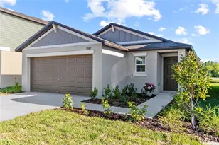 17662 Happytrails St, Land O Lakes, FL 34638 - Photo 1