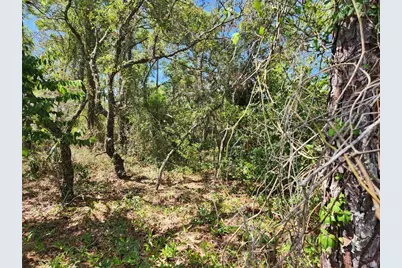 0 Day Owl Avenue Lot # 7, Weeki Wachee, FL 34613 - Photo 1