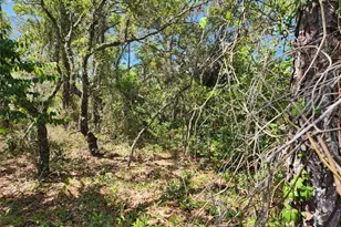 0 Day Owl Ave, Weeki Wachee, FL 34613 - Photo 1