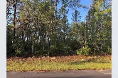 2 SW 179th Place, Ocala, FL 34473 - Photo 1