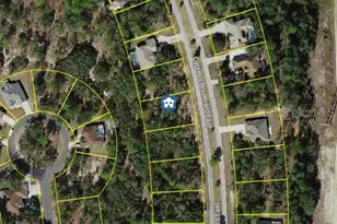 107 Cypress Blvd E, Homosassa, FL 34446 - Photo 1