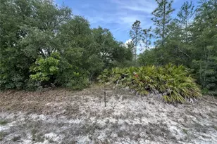 18167 Parakeet Rd, Weeki Wachee, FL 34614 - Photo 1