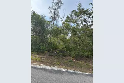 9412 Noddy Tern Road, Weeki Wachee, FL 34613 - Photo 1