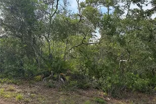 9412 Noddy Tern Rd, Weeki Wachee, FL 34613 - Photo 1