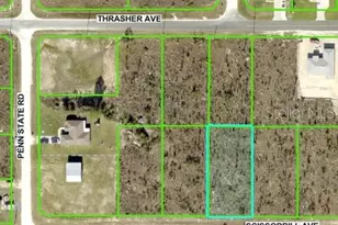 Scissorbill Ave, Brooksville, FL 34614 - Photo 1