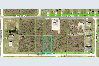 Scissorbill Avenue, Brooksville, FL 34614 - Photo 1