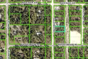 Goldfinch Rd, Brooksville, FL 34614 - Photo 1