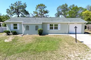 13180 Lawrence St, Spring Hill, FL 34609 - Photo 1