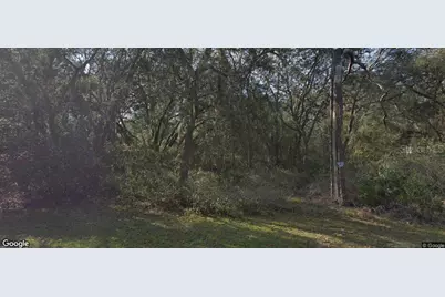 7129 Ricker Avenue, Webster, FL 33597 - Photo 1