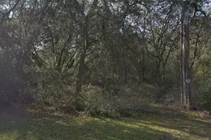 7129 Ricker Ave, Webster, FL 33597 - Photo 1