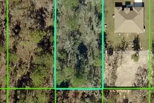 13358 Velvet Scoter Ave, Brooksville, FL 34614 - Photo 1