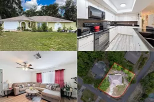 10411 Ireland St, Spring Hill, FL 34608 - Photo 1