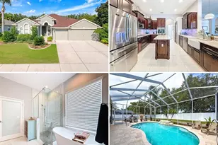 2326 Mountain Ash Way, New Port Richey, FL 34655 - Photo 1