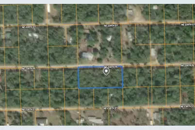 25 NE 238th Place, Fort Mc Coy, FL 32134 - Photo 1