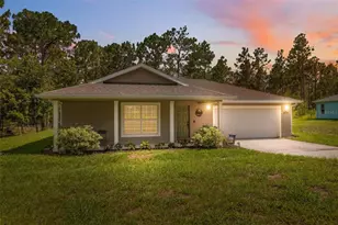 11034 Flock Ave, Weeki Wachee, FL 34613 - Photo 1