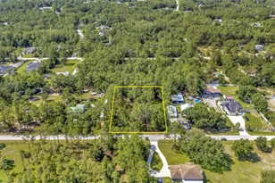 27422 Green Willow Run, Wesley Chapel, FL 33544 - Photo 1