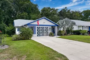 11622 White Ash Dr, New Port Richey, FL 34654 - Photo 1