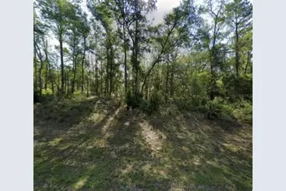 8965 N Lily Drive, Dunnellon, FL 34434 - Photo 1