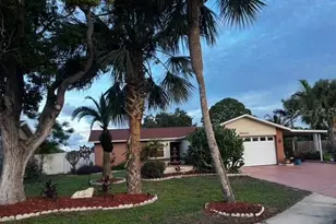 10411 Leaning Oak Dr, Port Richey, FL 34668 - Photo 1