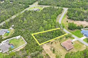 8541 N Newmark Way, Dunnellon, FL 34433 - Photo 1