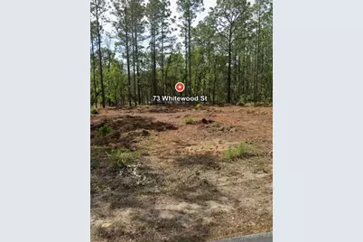 73 Whitewood Street, Homosassa, FL 34446 - Photo 1
