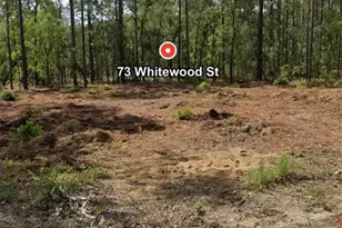 73 Whitewood St, Homosassa, FL 34446 - Photo 1