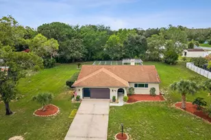 1424 Cornell Ave, Spring Hill, FL 34609 - Photo 1