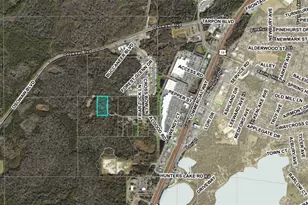 1488 Algood Rd, Spring Hill, FL 34607 - Photo 1