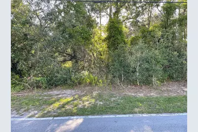 8217 Nightingale Road, Weeki Wachee, FL 34613 - Photo 1