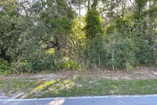 8217 Nightingale Rd, Weeki Wachee, FL 34613 - Photo 1