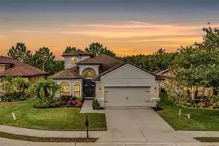 1013 Ketzal Dr, Trinity, FL 34655 - Photo 1