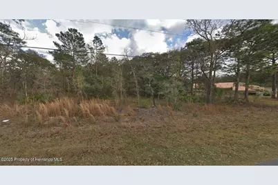 13176 Kildeer Road, Weeki Wachee, FL 34614 - Photo 1