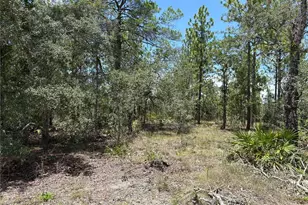 12179 Scarlet Ibis Ave, Brooksville, FL 34614 - Photo 1