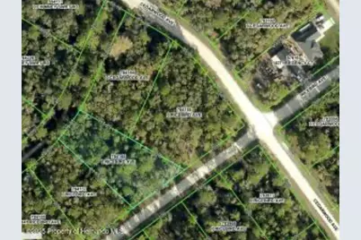 14059 Ricebird Avenue, Weeki Wachee, FL 34614 - Photo 1