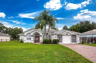 14185 Segovia St, Spring Hill, FL 34609 - Photo 1