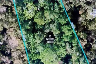 14388 Chimney Swift Rd, Weeki Wachee, FL 34614 - Photo 1
